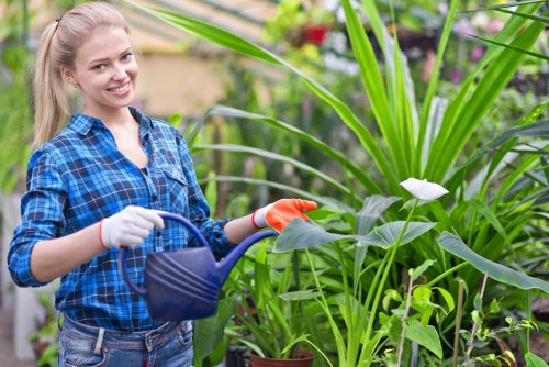 Gardening accessibility support in Cockfosters