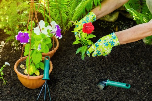 Seasonal planting and garden maintenance by Cockfosters gardeners
