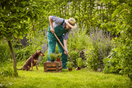 Customer complaint being reviewed in a gardening service