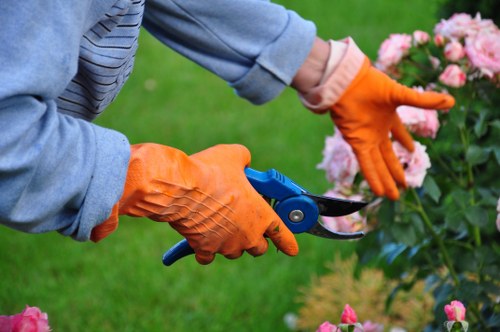 Seasonal grass cutting in Cockfosters
