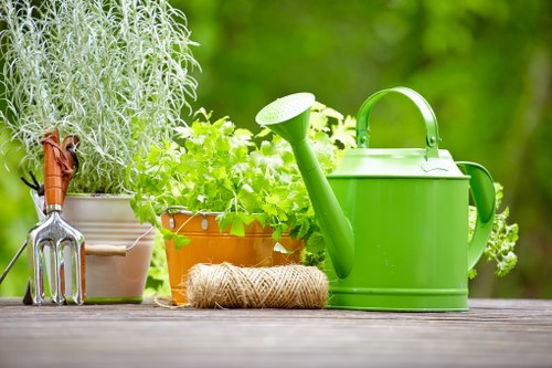 Healthy green lawn care in Cockfosters with neat garden borders