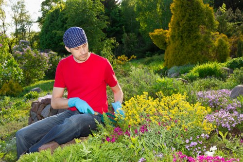 Professional tree cutting and maintenance in Cockfosters