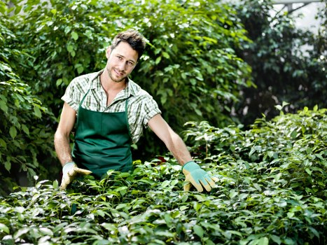 Weather-aware gardening safety practices outdoors