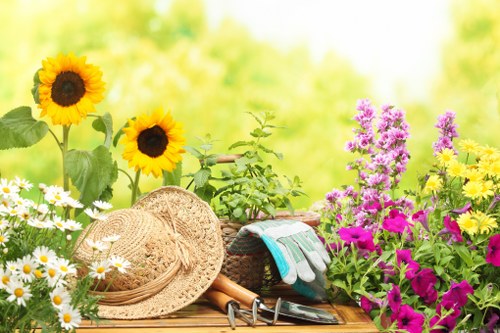 Seasonal planting and border maintenance in a Cockfosters garden
