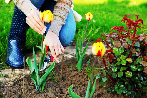Seasonal planting and garden structure in Cockfosters