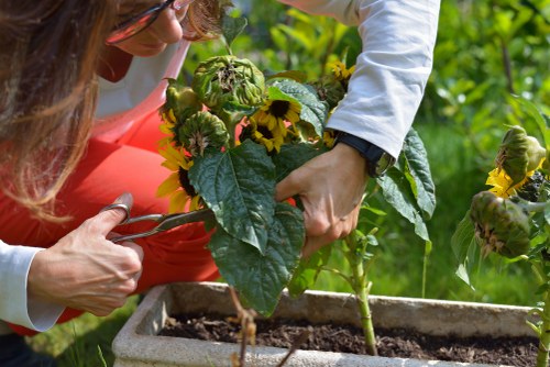 Manual handling precautions for garden materials