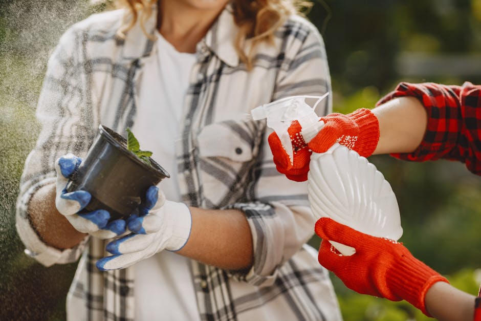 A gardener wearing a plaid shirt and white gloves is holding a small black plastic pot containing a green plant, ready for planting or transplanting. Another person, wearing red gloves with white cuff