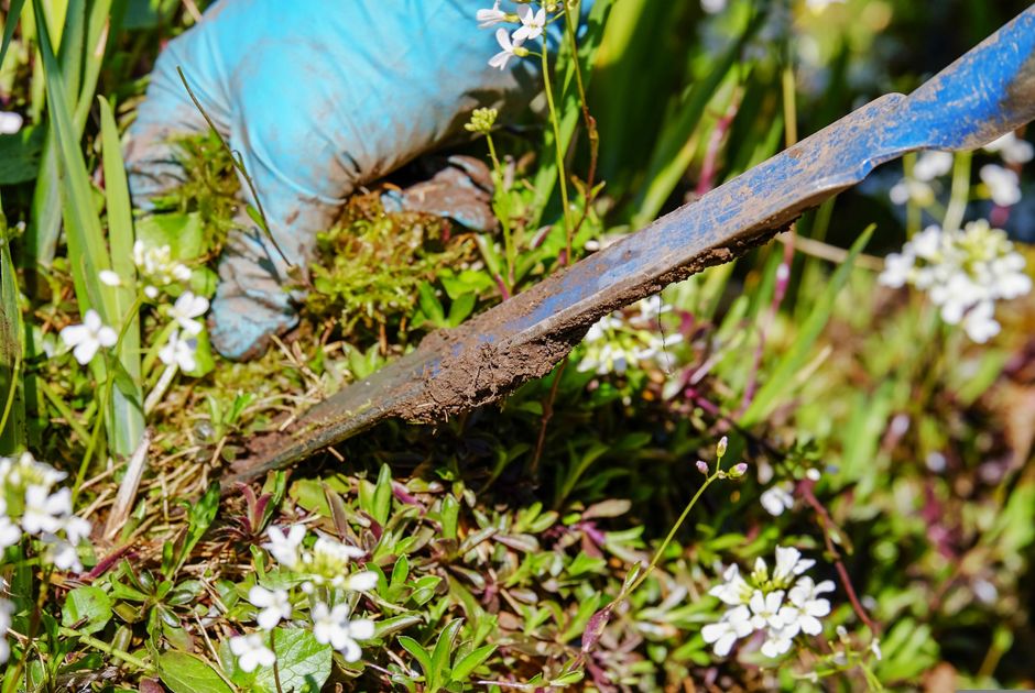 A gardener wearing a plaid shirt and white gloves is holding a small black plastic pot containing a green plant, ready for planting or transplanting. Another person, wearing red gloves with white cuff