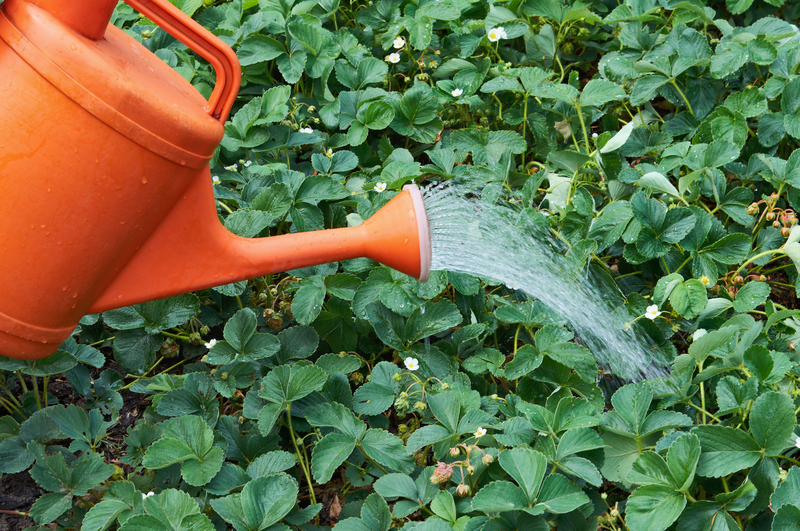 Garden property